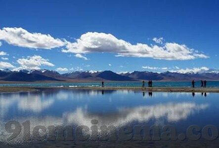 大象麻豆短视频-大象、麻豆与短视频，网络文化的新面孔与挑战